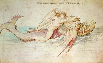 Arion, 1514